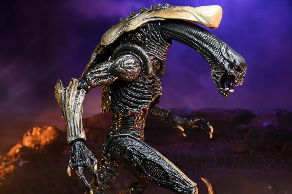 Chrysalis xenomorph cheap